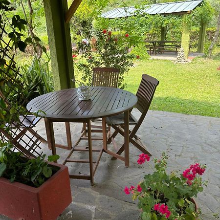 Casa Verde Country House Montescudaio Extérieur photo