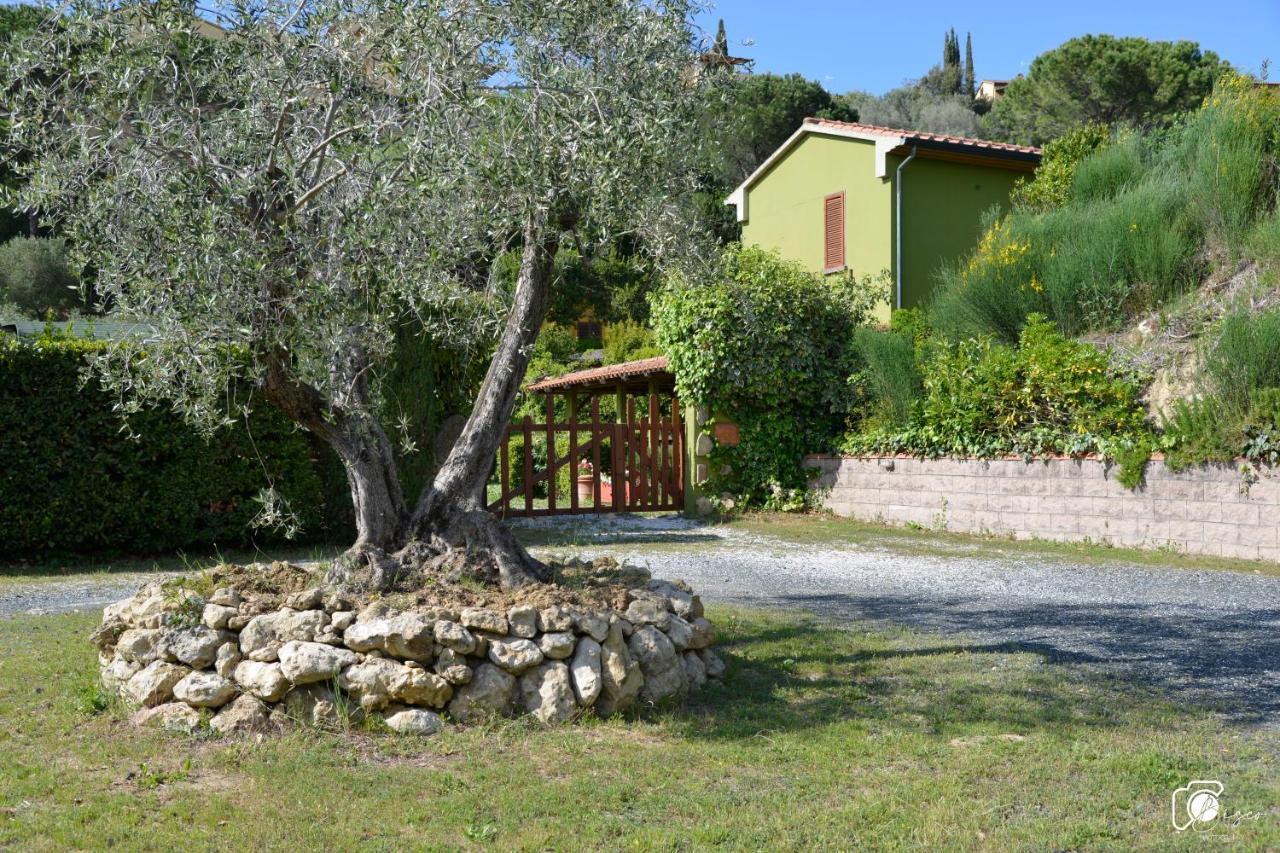 Casa Verde Country House Montescudaio Extérieur photo