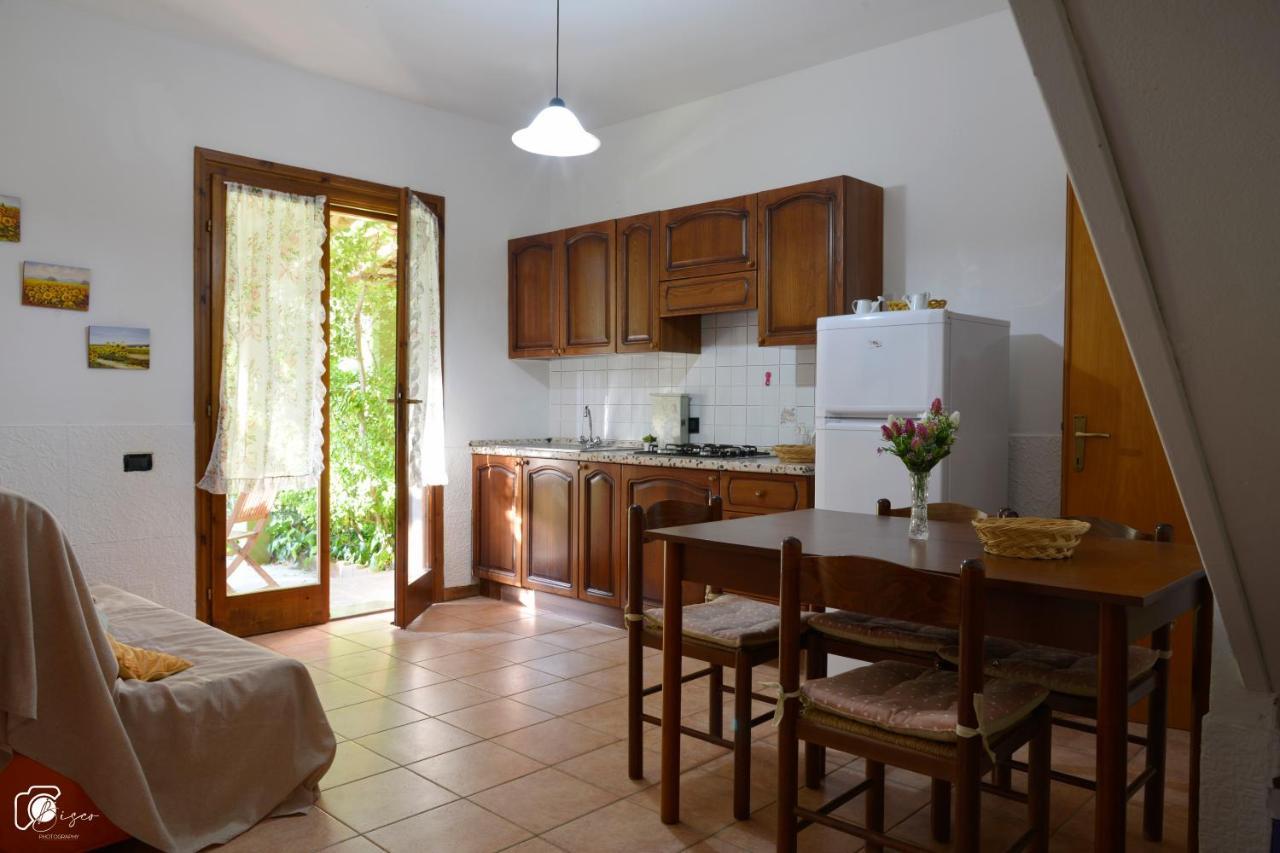 Casa Verde Country House Montescudaio Extérieur photo