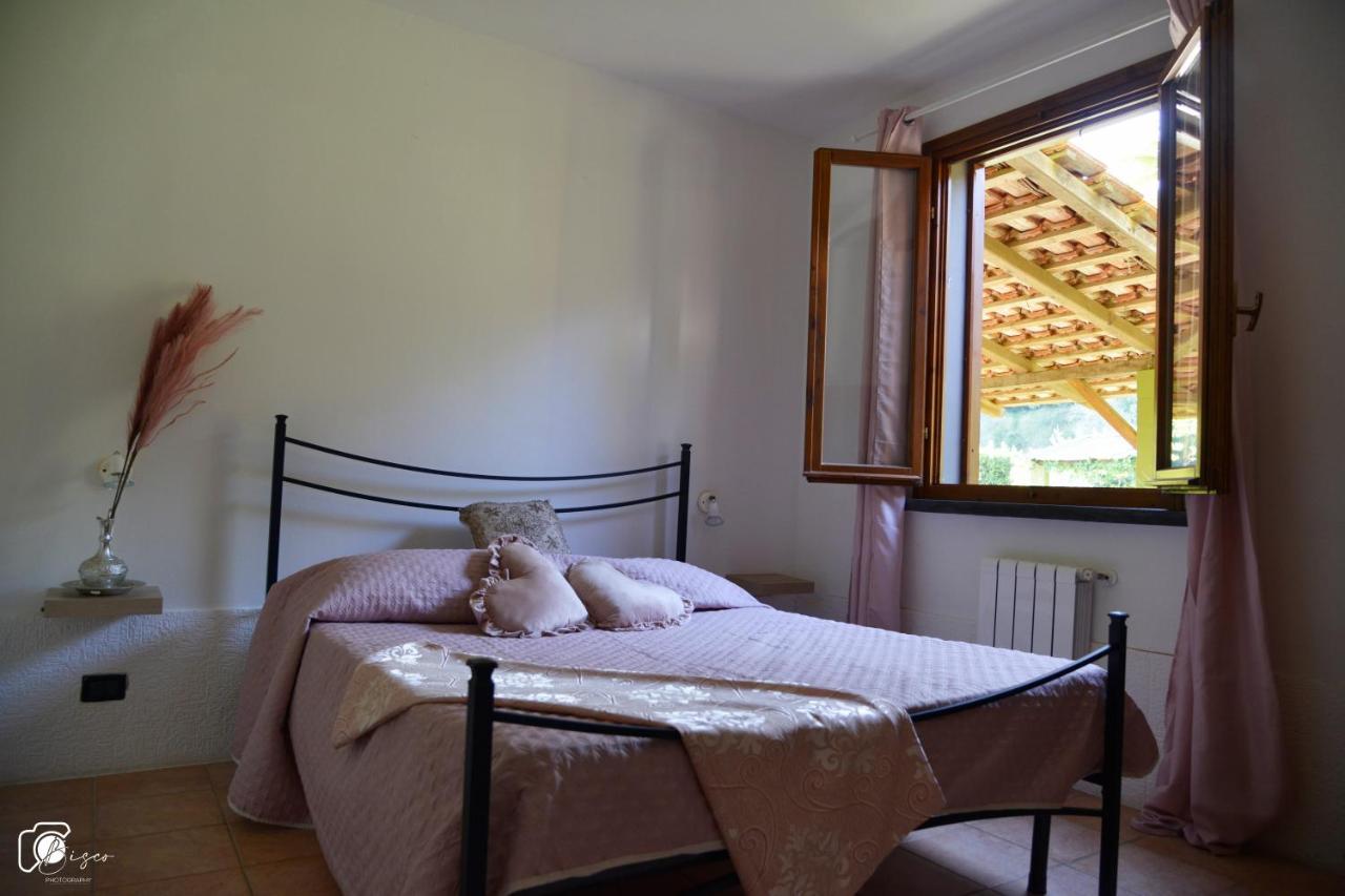 Casa Verde Country House Montescudaio Extérieur photo