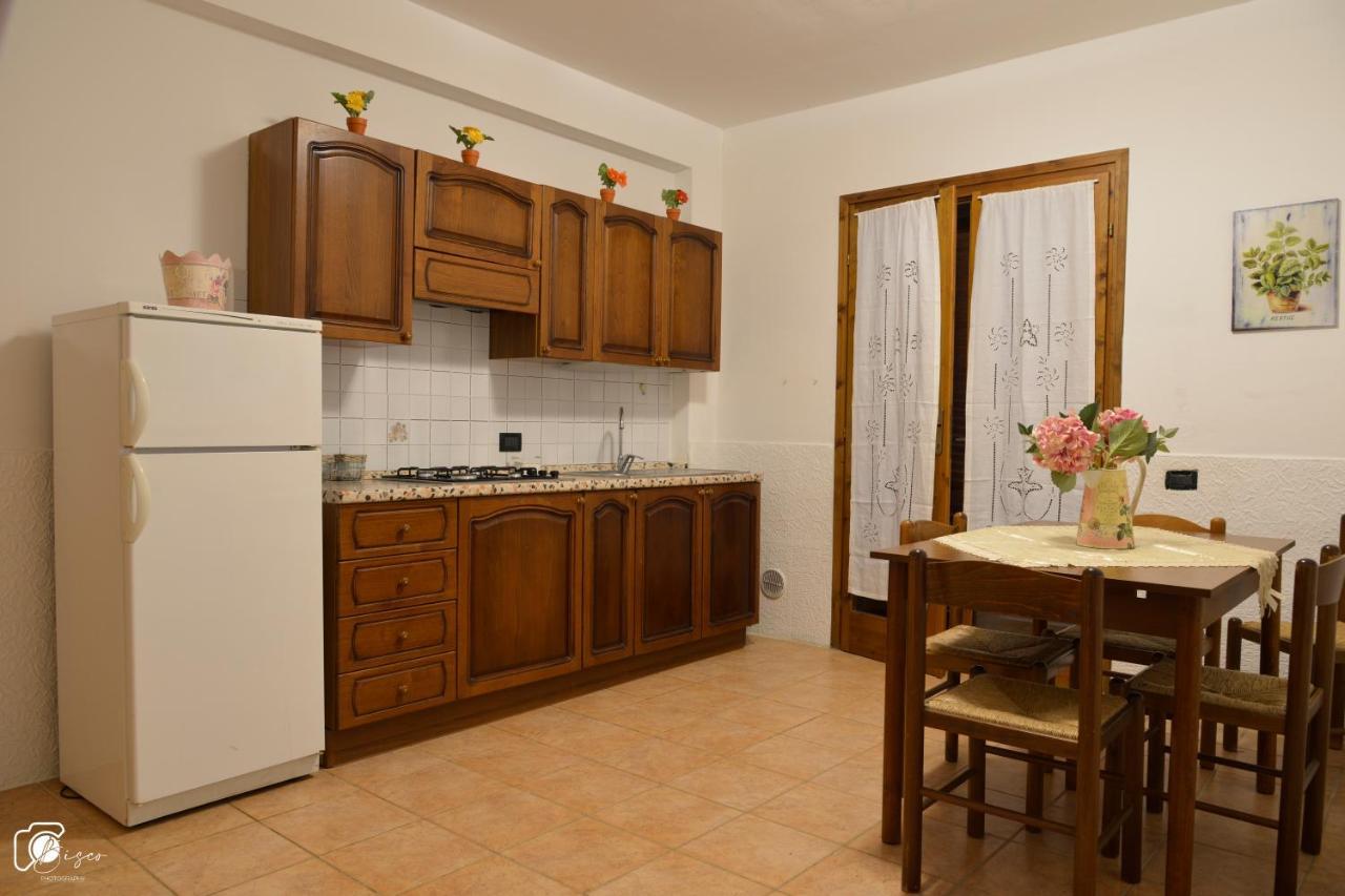 Casa Verde Country House Montescudaio Extérieur photo