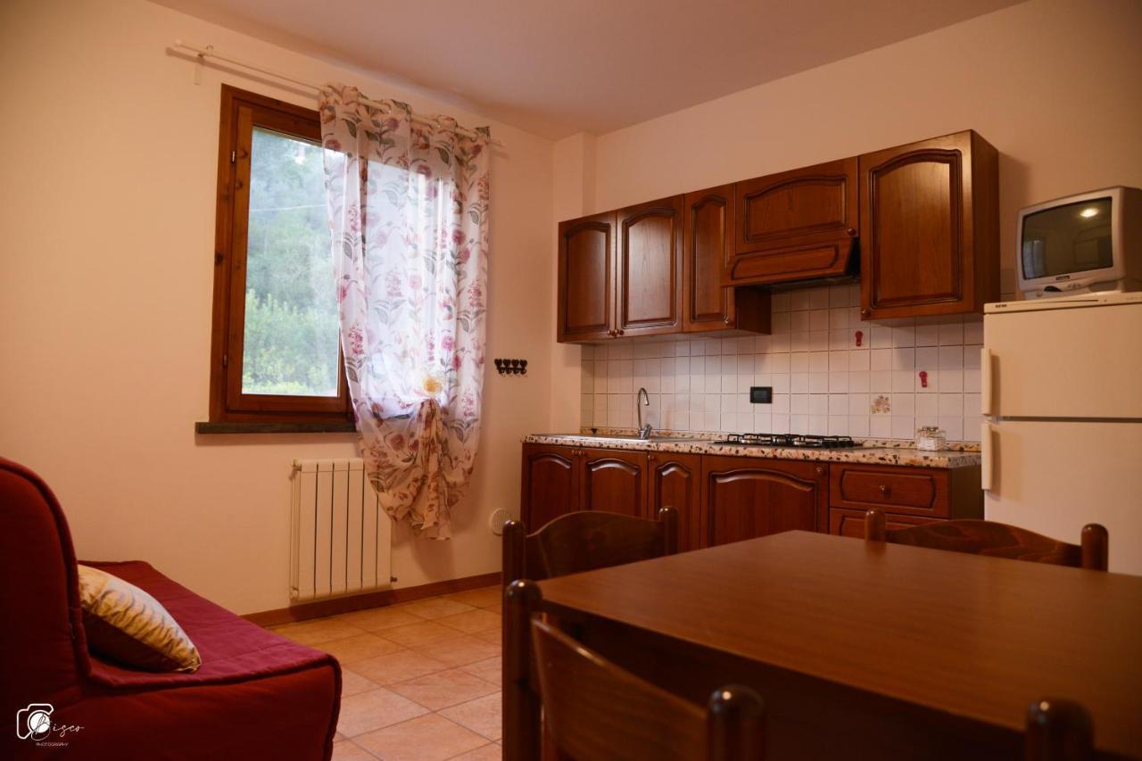 Casa Verde Country House Montescudaio Extérieur photo