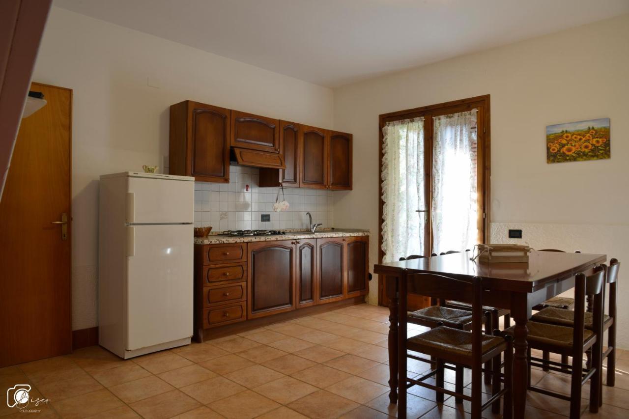 Casa Verde Country House Montescudaio Extérieur photo