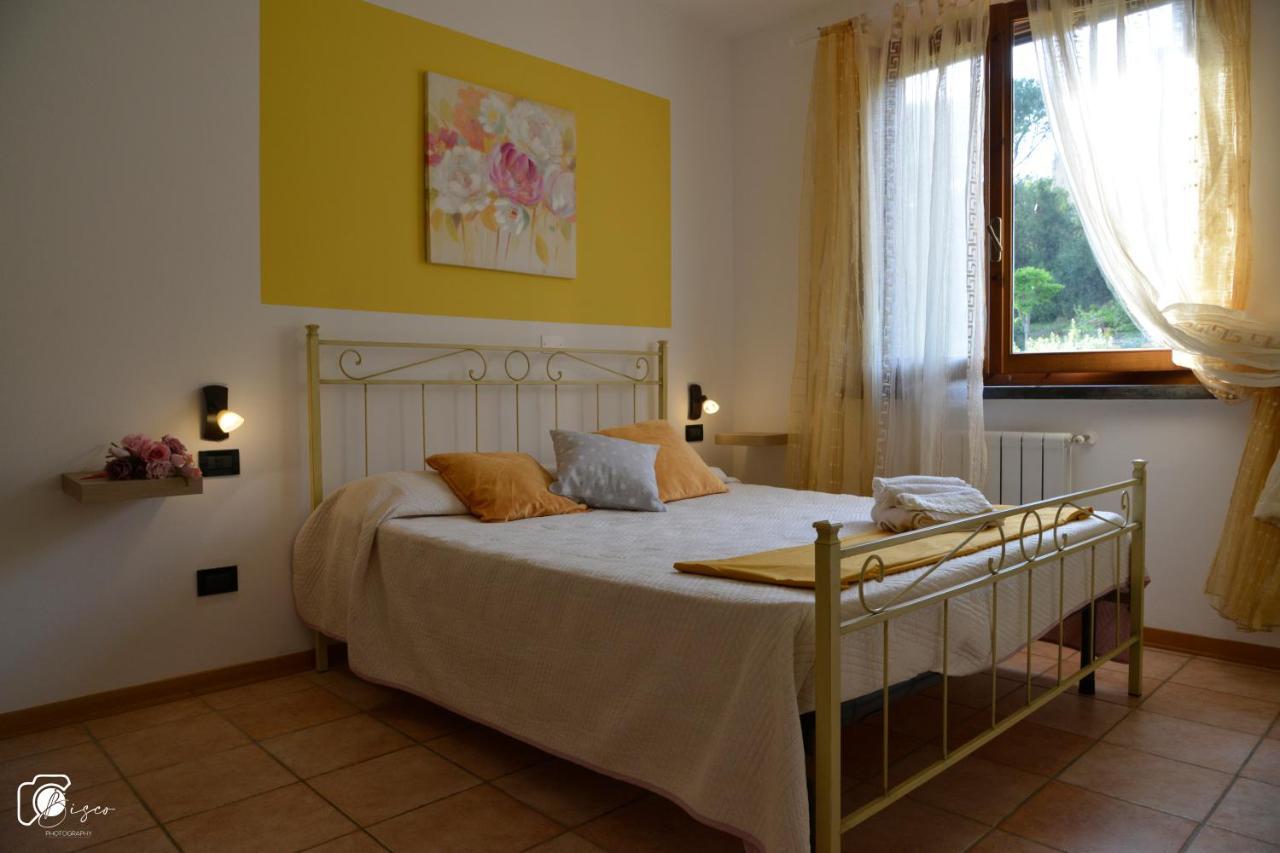 Casa Verde Country House Montescudaio Extérieur photo