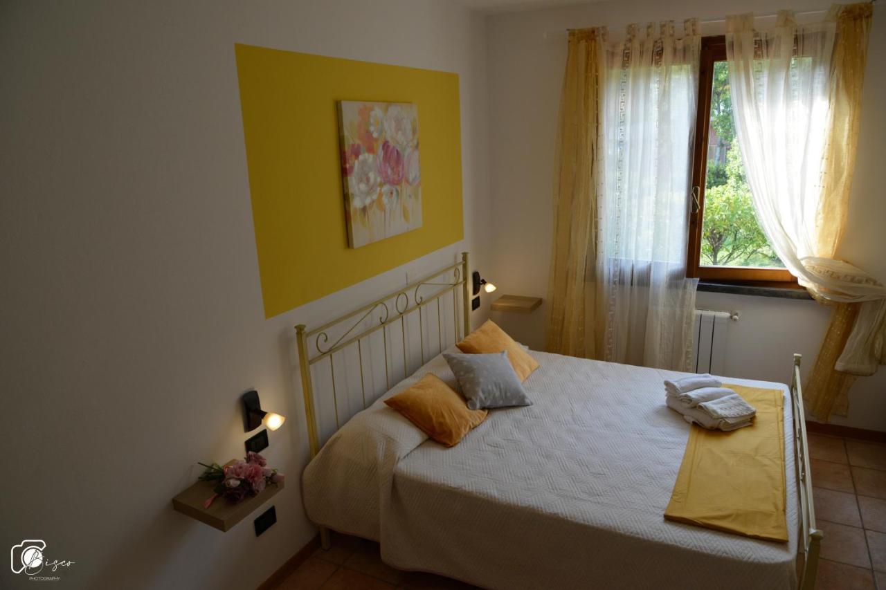 Casa Verde Country House Montescudaio Extérieur photo