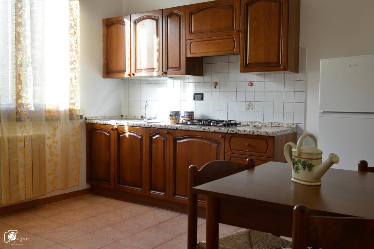 Casa Verde Country House Montescudaio Extérieur photo