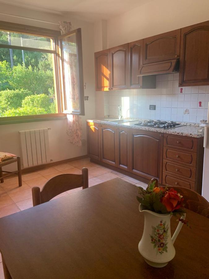 Casa Verde Country House Montescudaio Extérieur photo