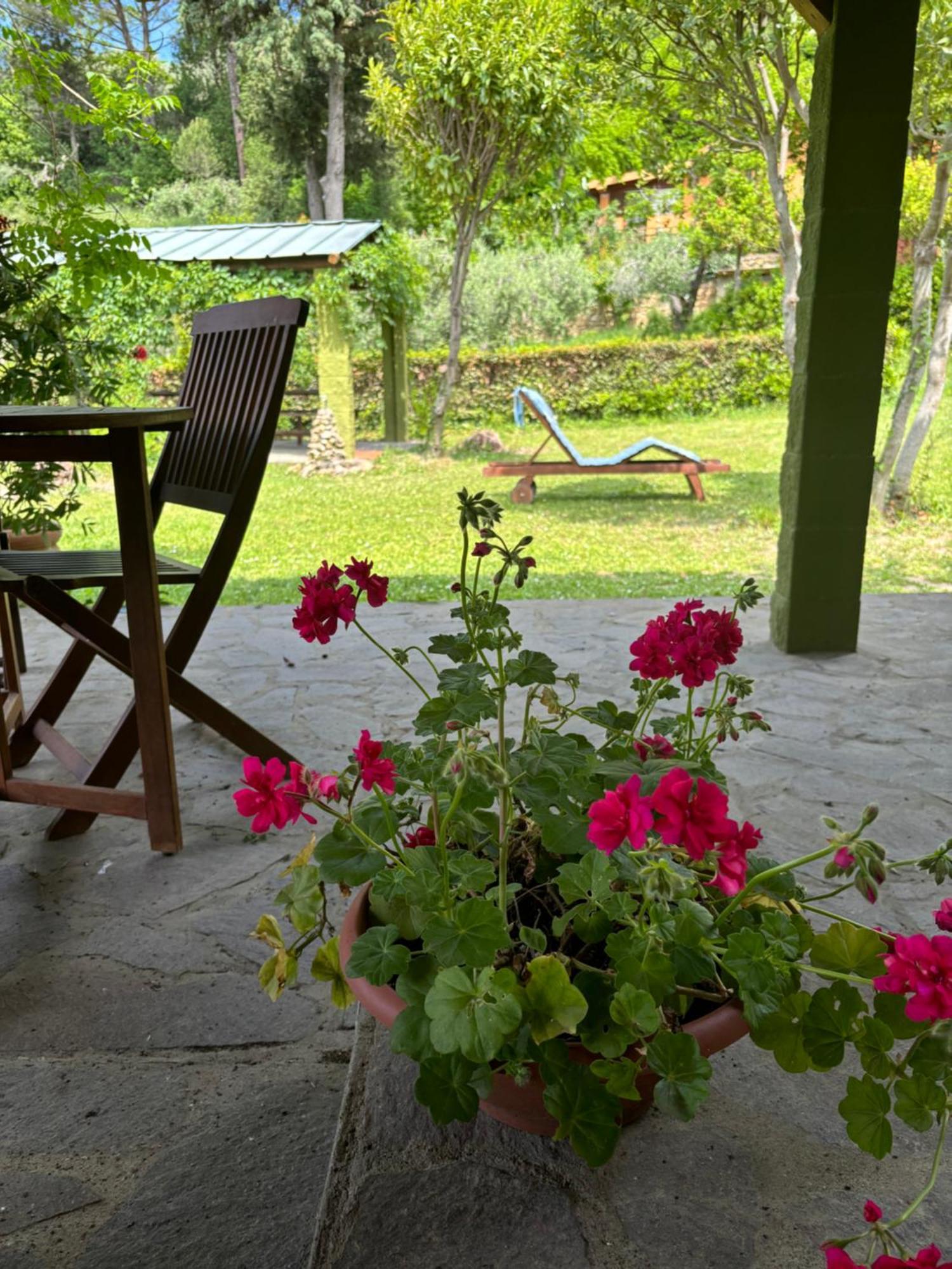Casa Verde Country House Montescudaio Extérieur photo