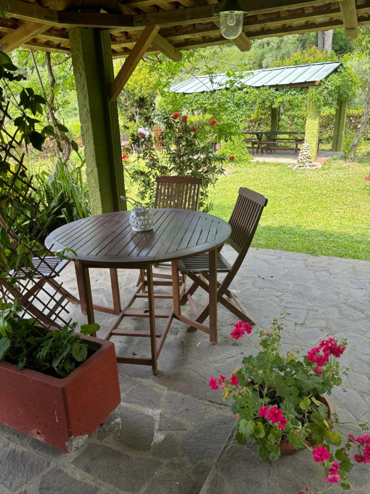 Casa Verde Country House Montescudaio Extérieur photo
